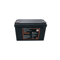 Sturmax BC12VM-LiFePo465AH Аккум. батарея LiFePo4 12.8В 65Ач